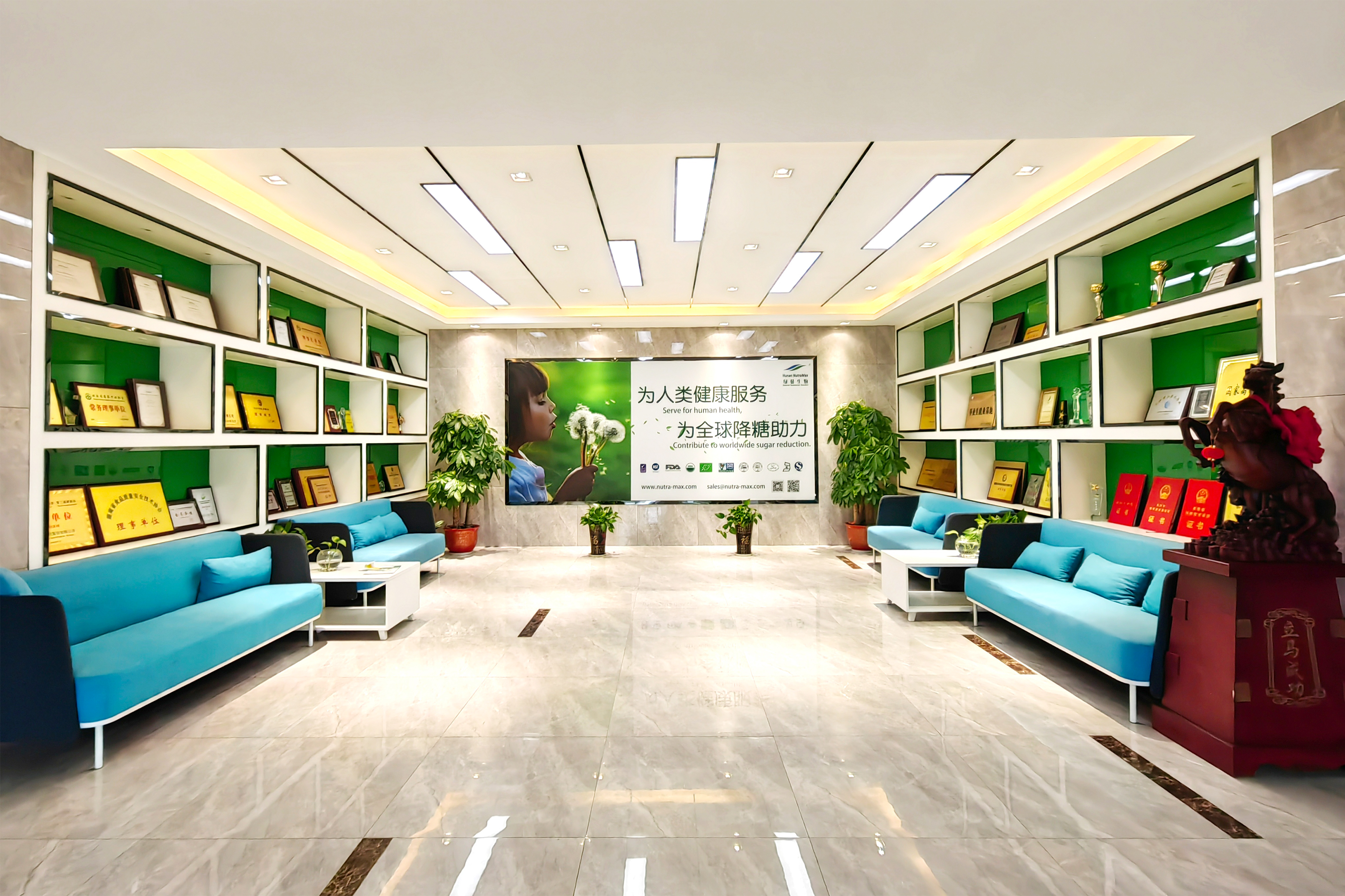 Factory in Changsha High-Tech Zone